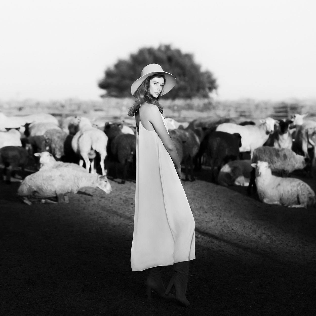 Портфолио фотографа Михаила Потапова