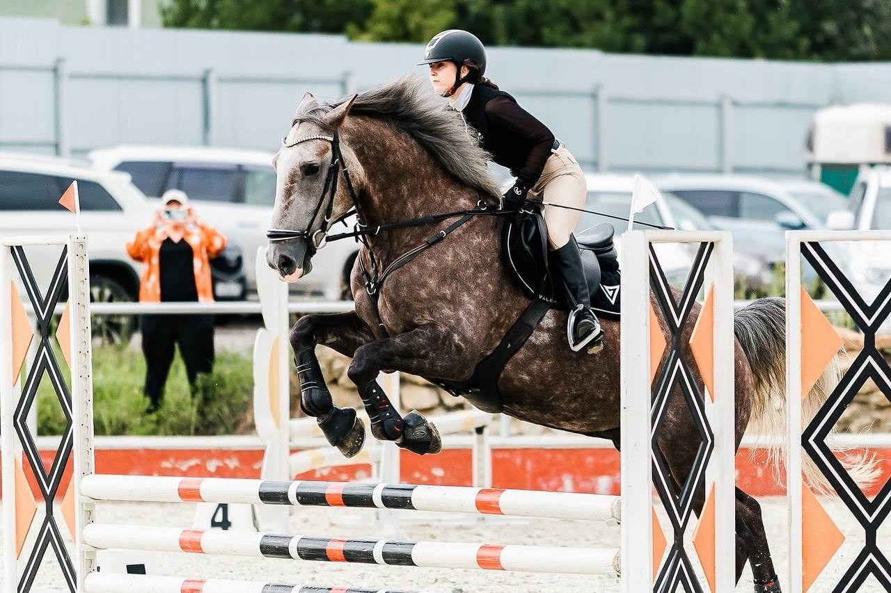 ЛЕТНИЙ КУБОК КСК «КОНКОРД» по КОНКУРУ. Конный фотограф Куракина Дарья • Фотосессии с лошадьми