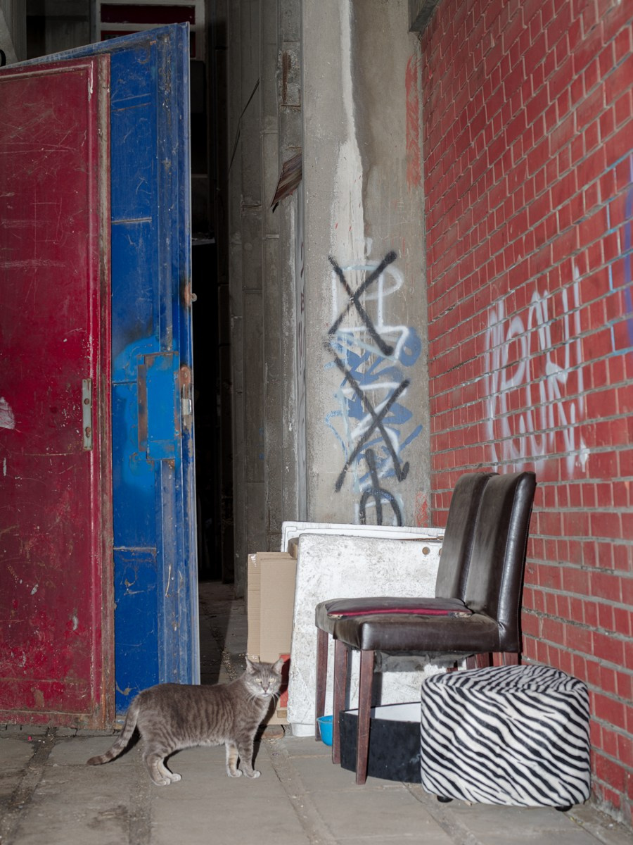 The Colour Beneath the Grey. Photographer, Documentary and Art