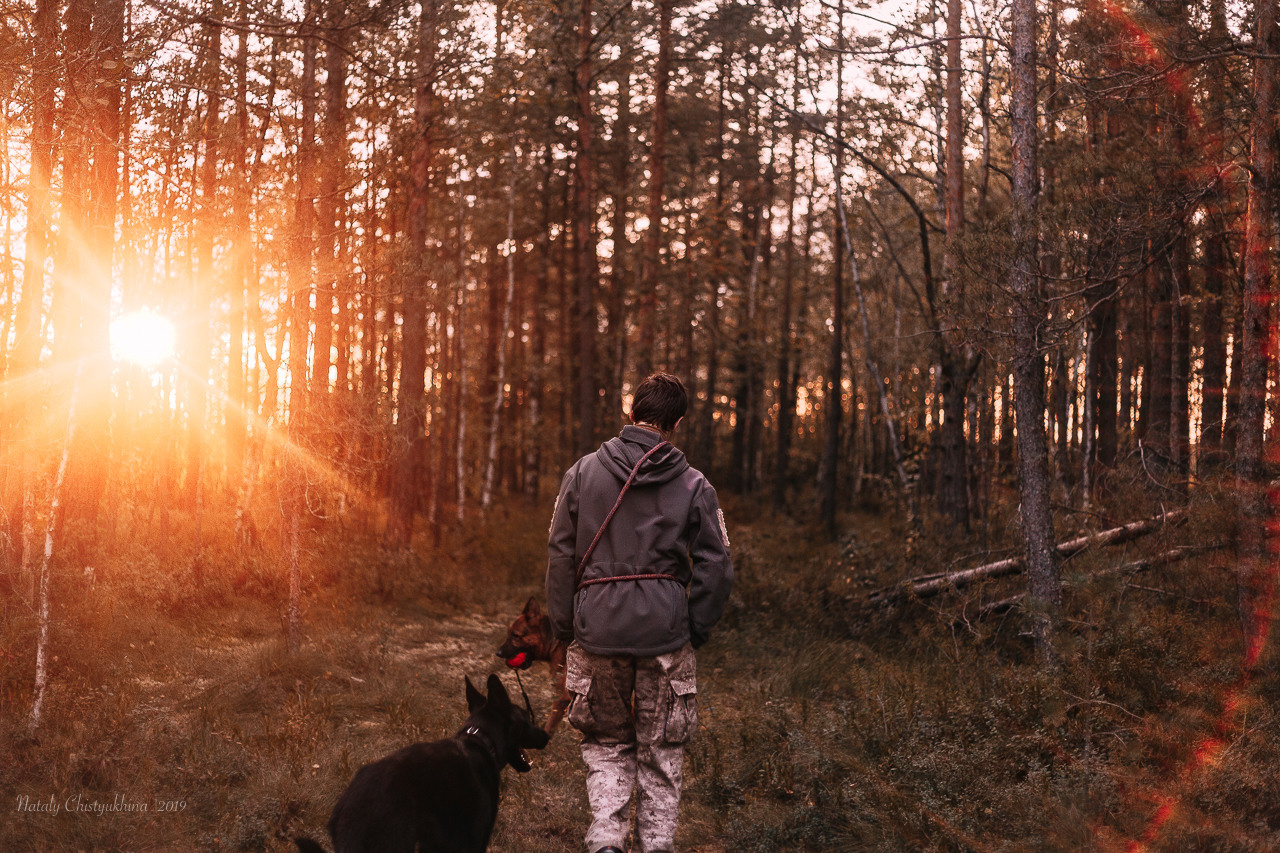 Эко-тропа Сестрорецкое болото. Фотограф-анималист Наталия Чистюхина в г. Сосновый Бор и ЛО