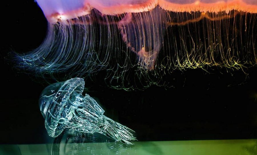 Леньшин Юрий Юрьевич. Галерея участников Российской Премии Искусств