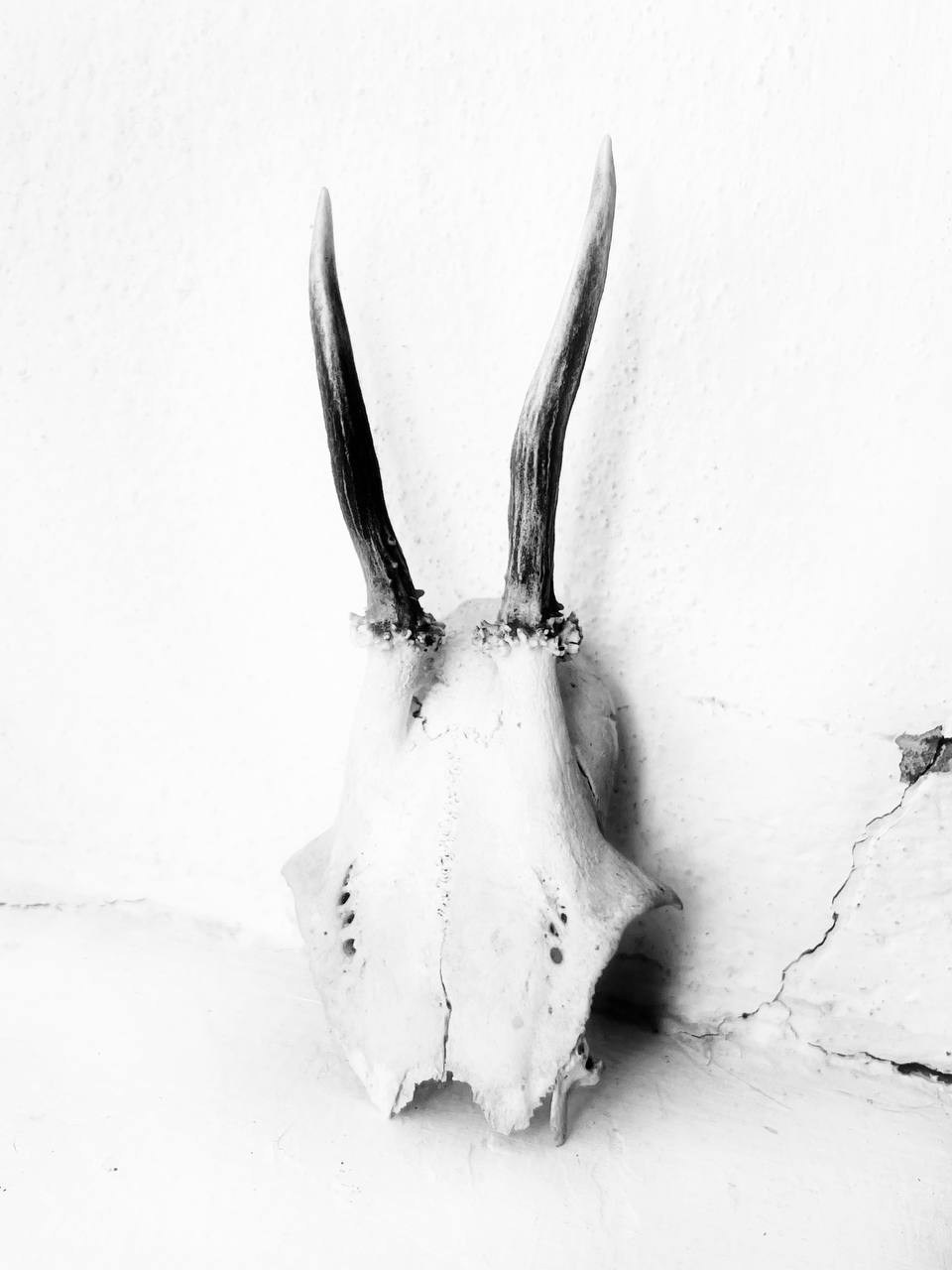 КРЫЛЬЯ творческая мастерская 25-26. Онлайн фотошкола просто о фото, фотограф, психолог фототерапия москва сочи анна ивкина