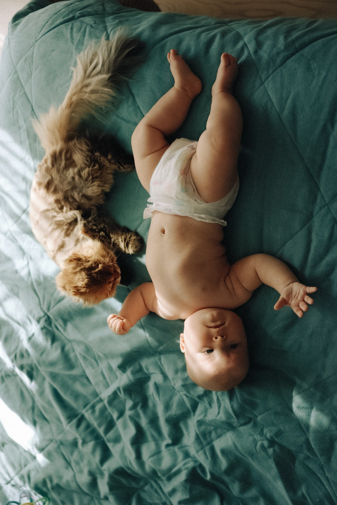 Family. Фотограф Нижний Новгород