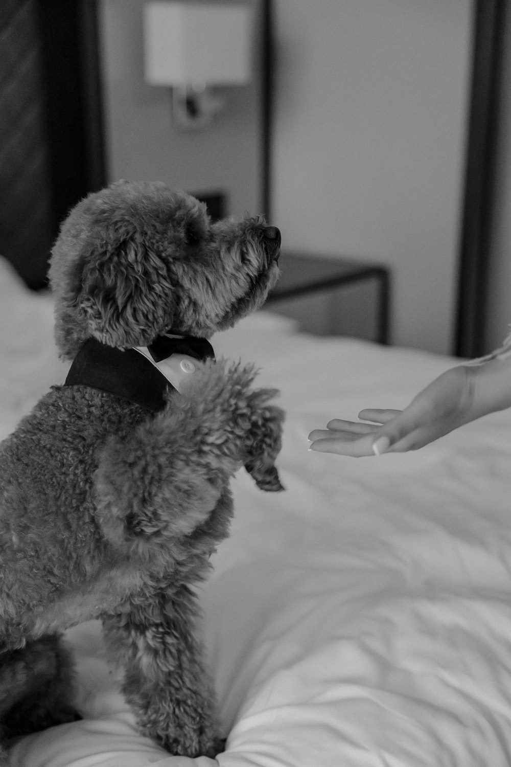 A & G. Свадебный фотограф Москва