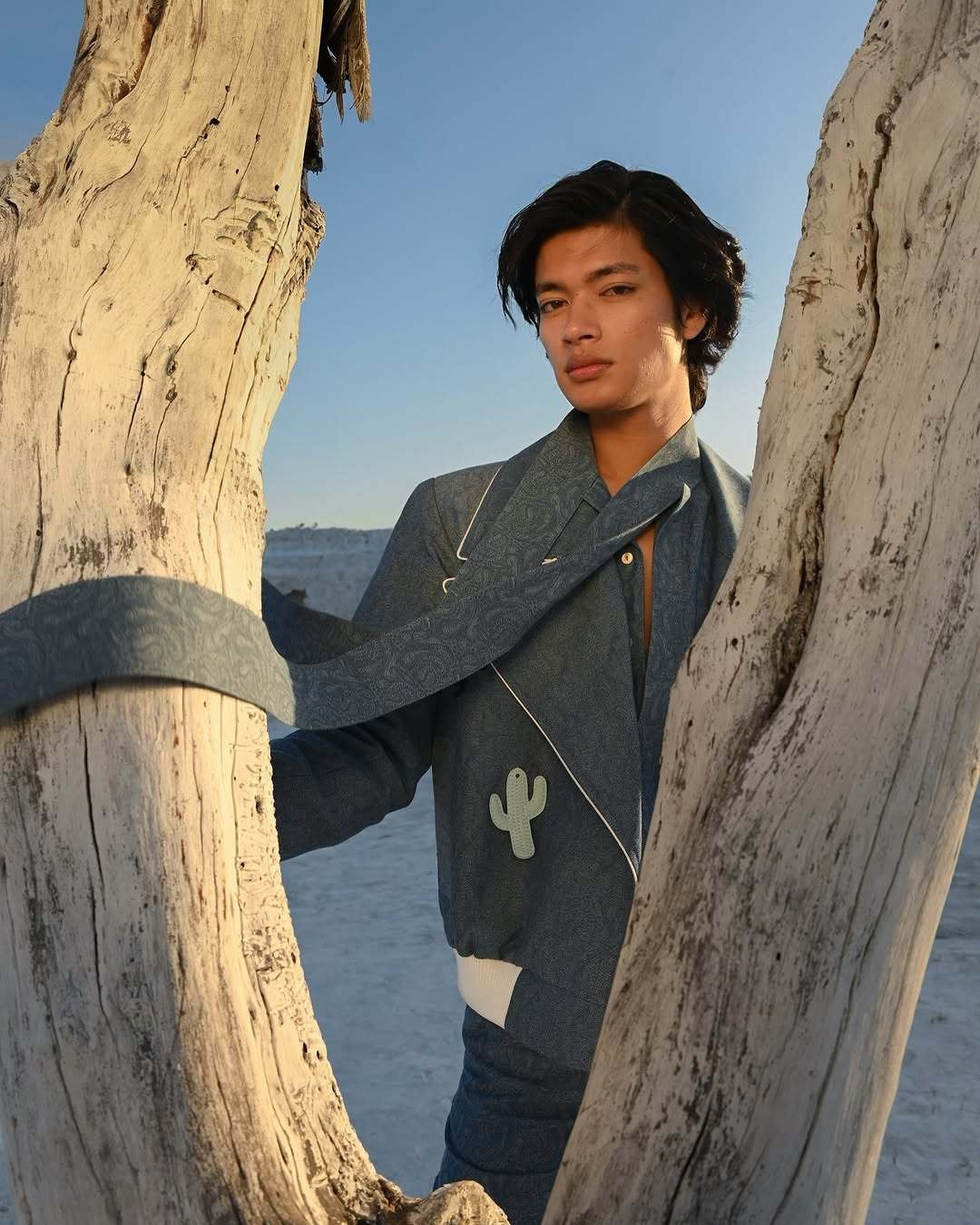 Chirag. Axis model management