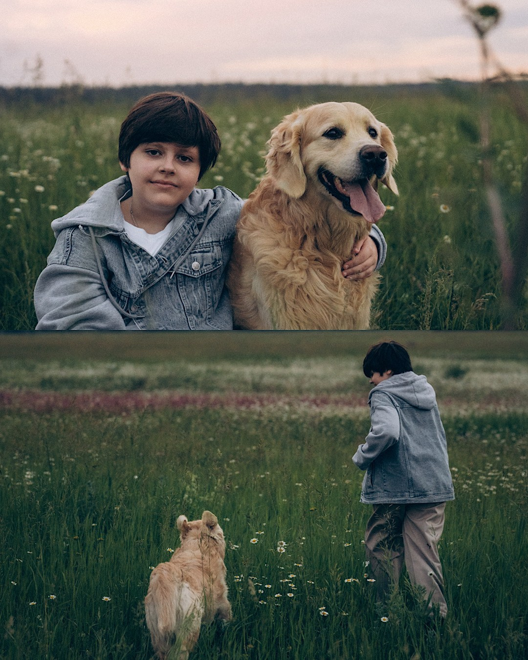 Кристина, Александр, Каролина, Владлен и Космос. Фотограф анималист в Москве и Санкт-Петербурге Свиридова Анна