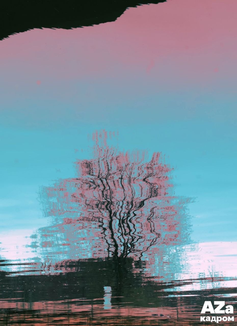 AZакадром «Отражения». Женский семейный фотограф Тула Москва Захарова Анна