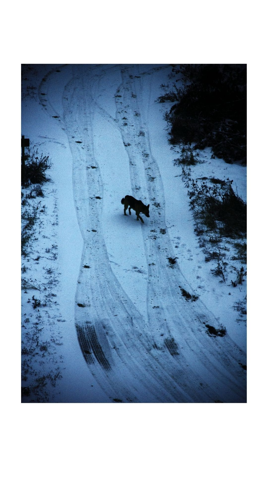 «Не выходя из дома». Главная