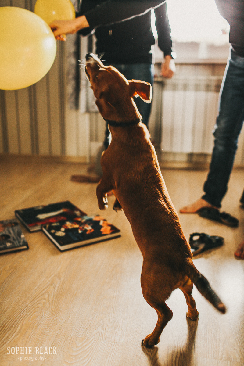 Мы всегда были семьей. Соня Черных (sophieblack)