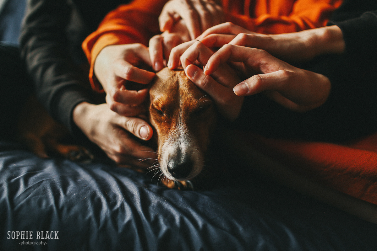 Мы всегда были семьей. Соня Черных (sophieblack)