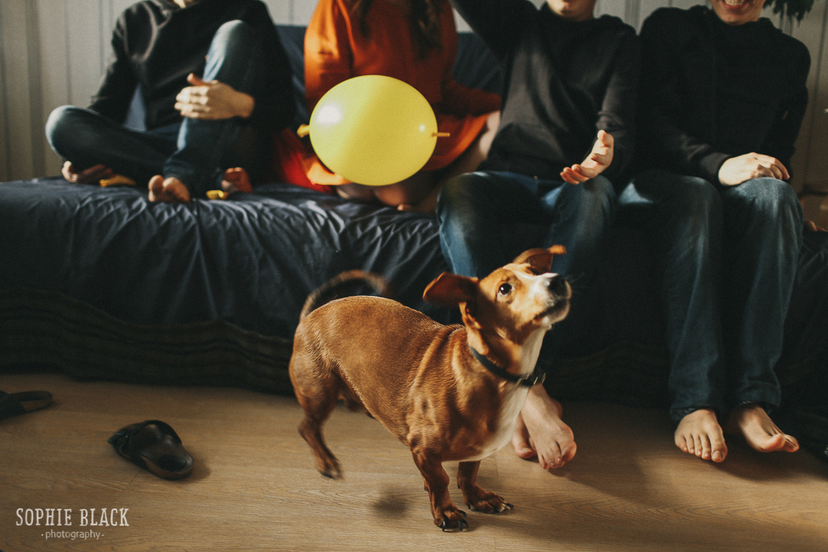 Мы всегда были семьей. Соня Черных (sophieblack)