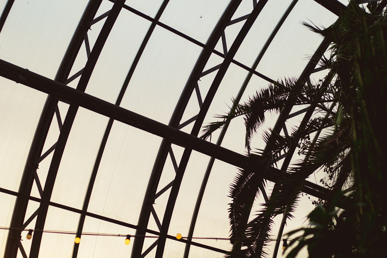 Petro Art — квартет в Таврическом саду (Рок Хиты). EvgenyCraft