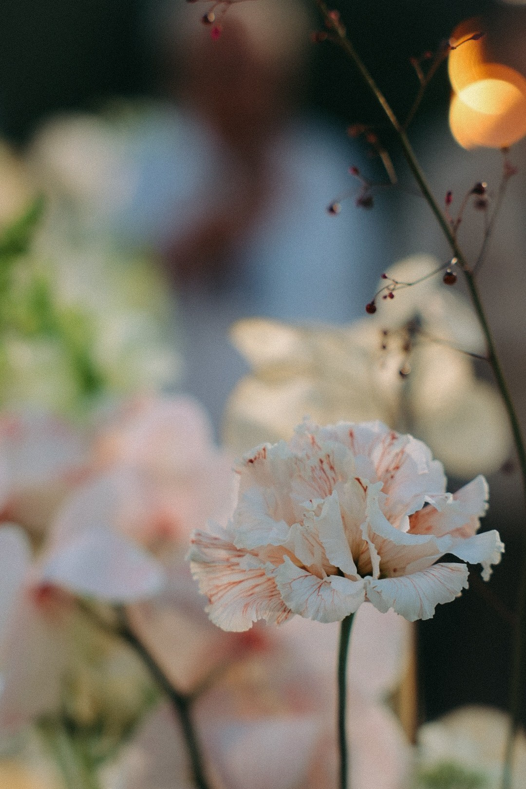 Максим и Лиза. Фотограф Нижний Новгород