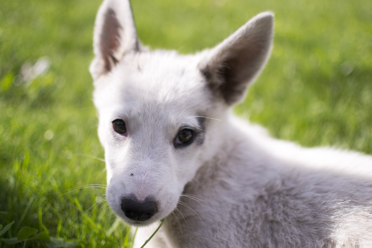 Артём Голдов — Портретный фотограф ✦ Кошелев Парк ✦ Самара