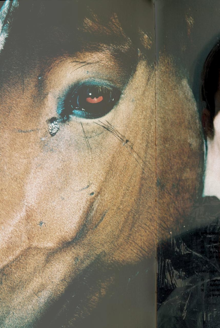 RANDOM. Nik Paustovskiy photography