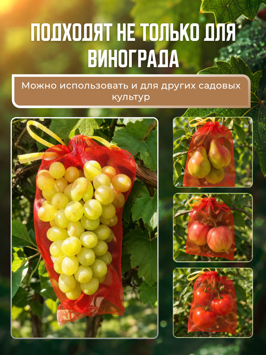 Инфографика | Карточка товара | Сад и огород. Графический дизайнер AI в Москве Валерия Кос