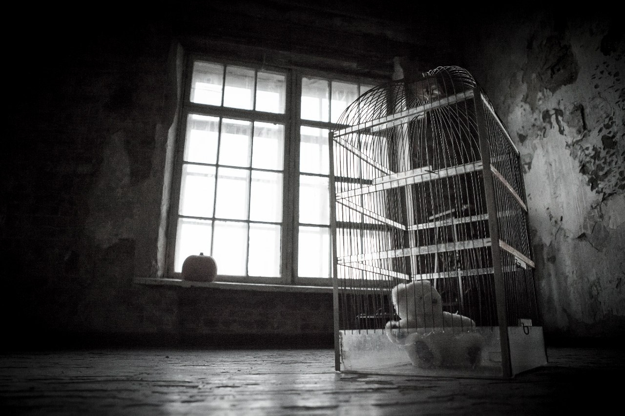 Портфолио для души. Профессиональный фотограф Иркутск — Максим Лядов