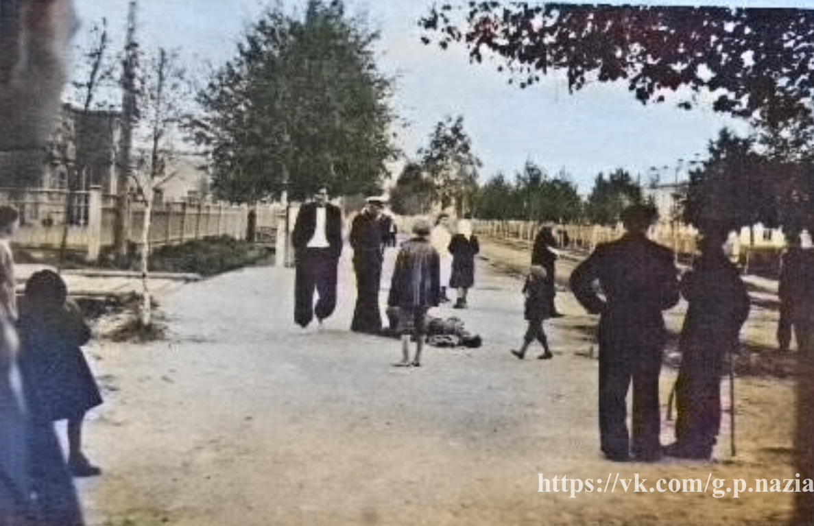 Назия в 1950-х и 1970-х. История Назиевского городского поселения