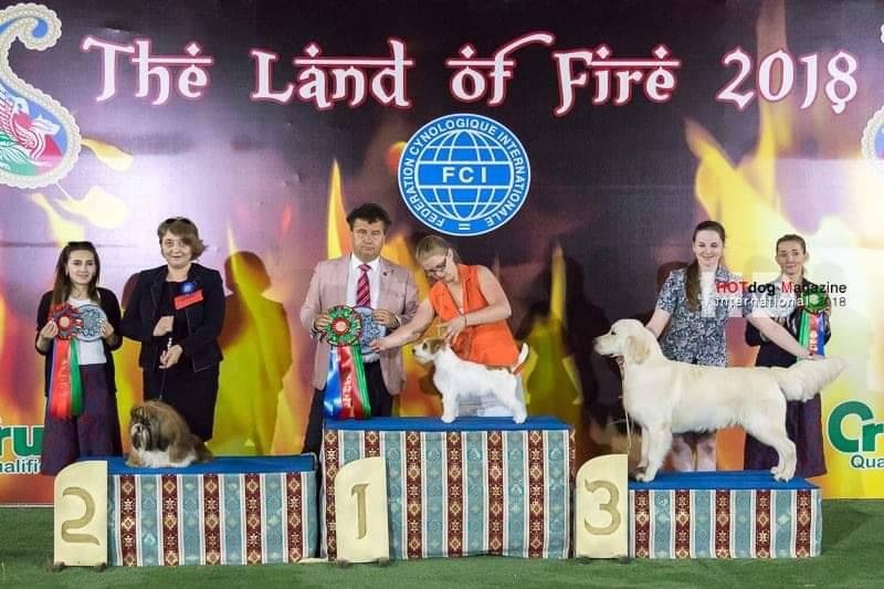 Lovely-Orange Candy Shop. Lovely-Orange питомник джек рассел терьеров