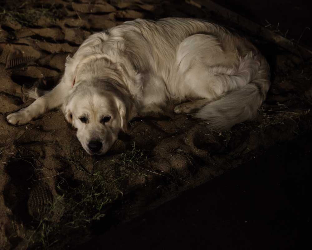 Любовь и ветер. Владимир Киселев — свадебный фотограф в Саратове, Москве и по всему миру
