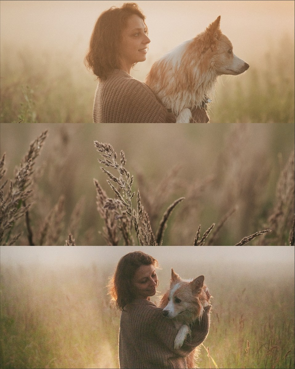 Рина и Марси. Фотограф анималист в Москве и Санкт-Петербурге Свиридова Анна