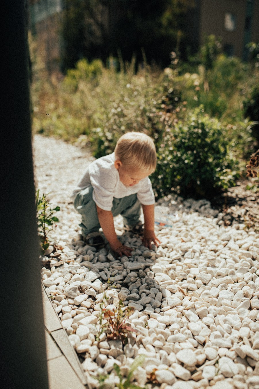 Прогулка | в городе