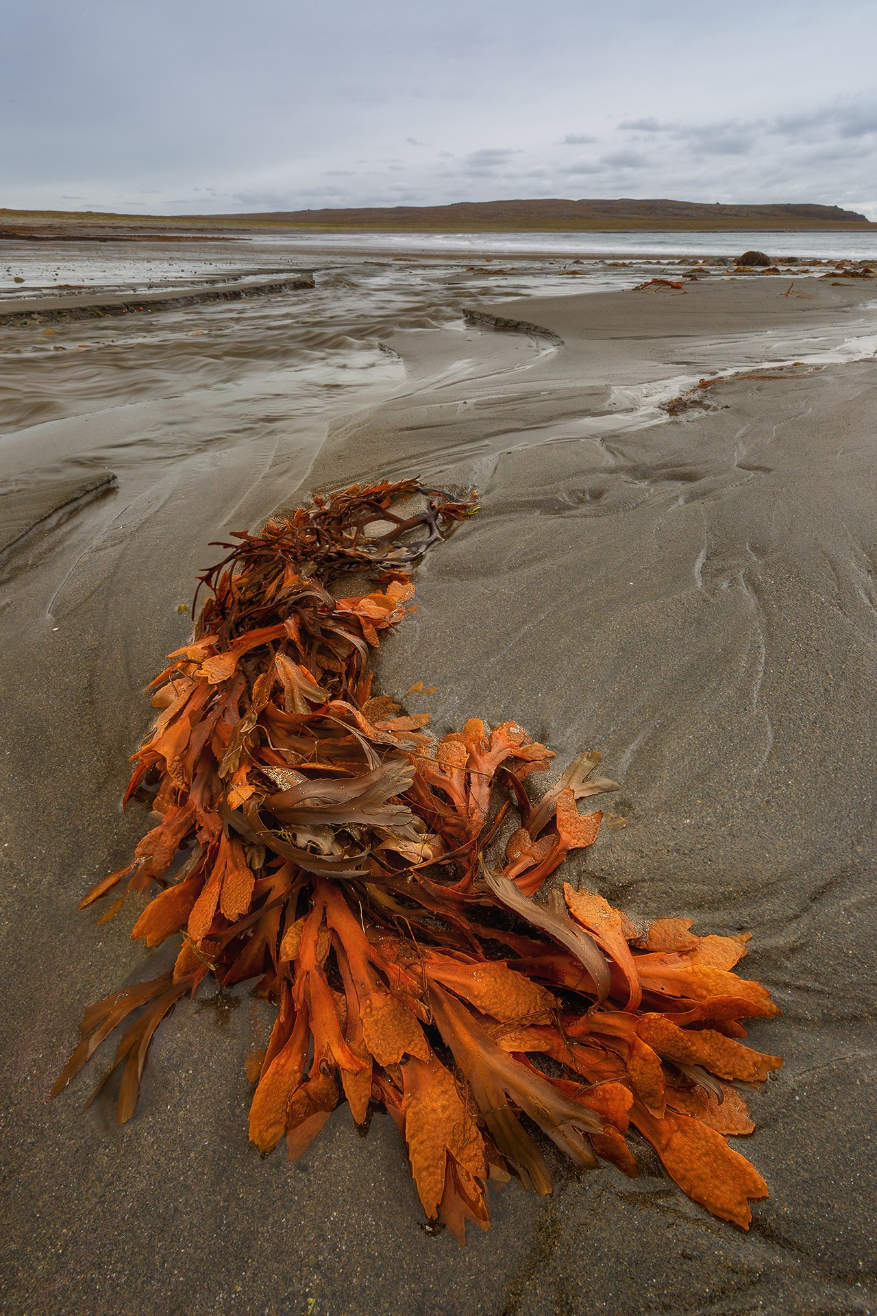 П-ов РЫБАЧИЙ. Фототуры и обучение пейзажной фотографии