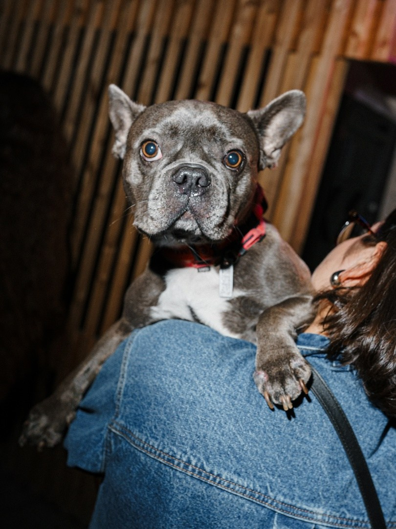 Salute Honey X Union. Коммерческий и репортажный фотограф в Санкт-Петербурге — Туся Сушка