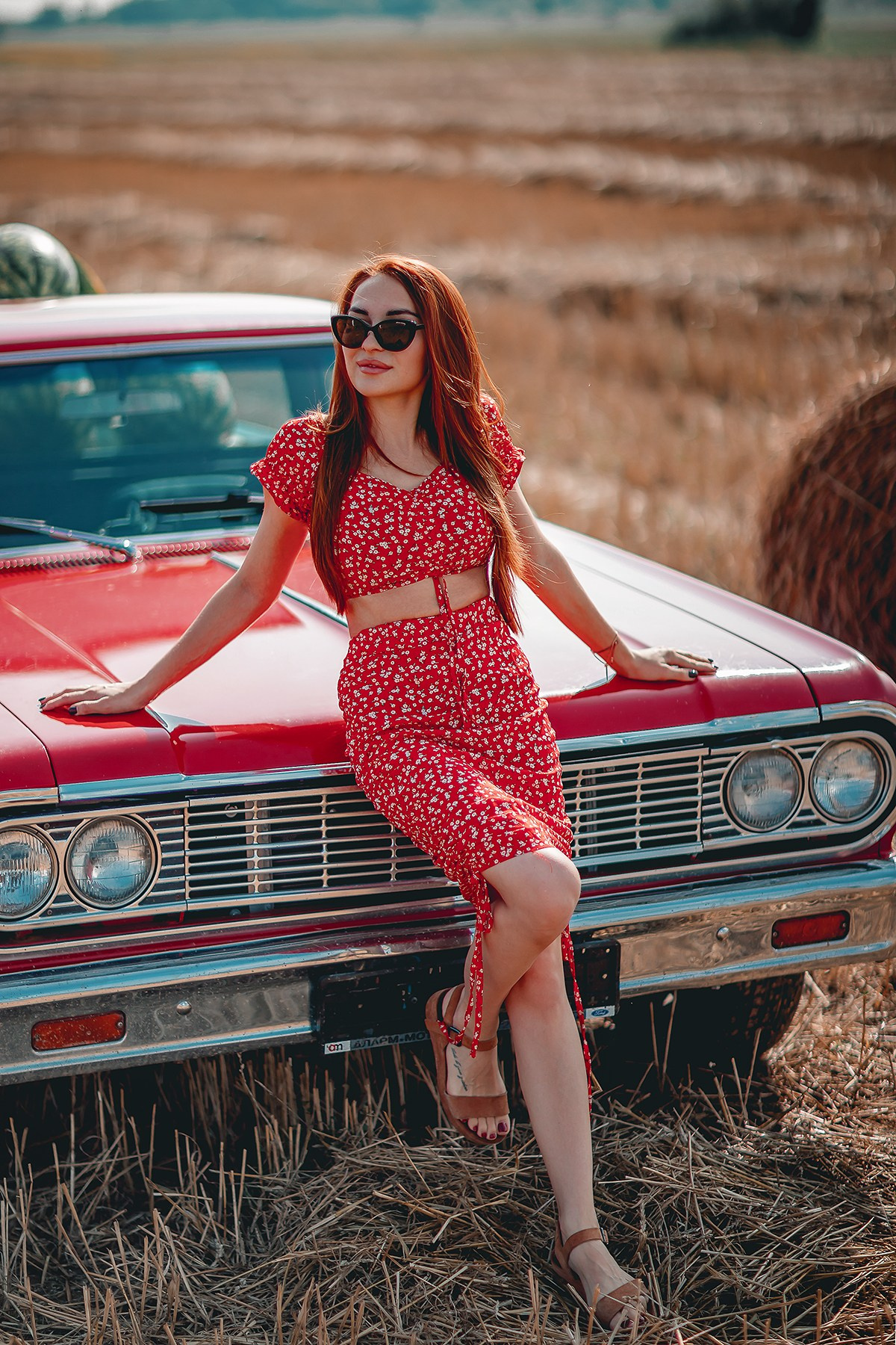 Катя. Семейный фотограф анималист Мария Крючкова