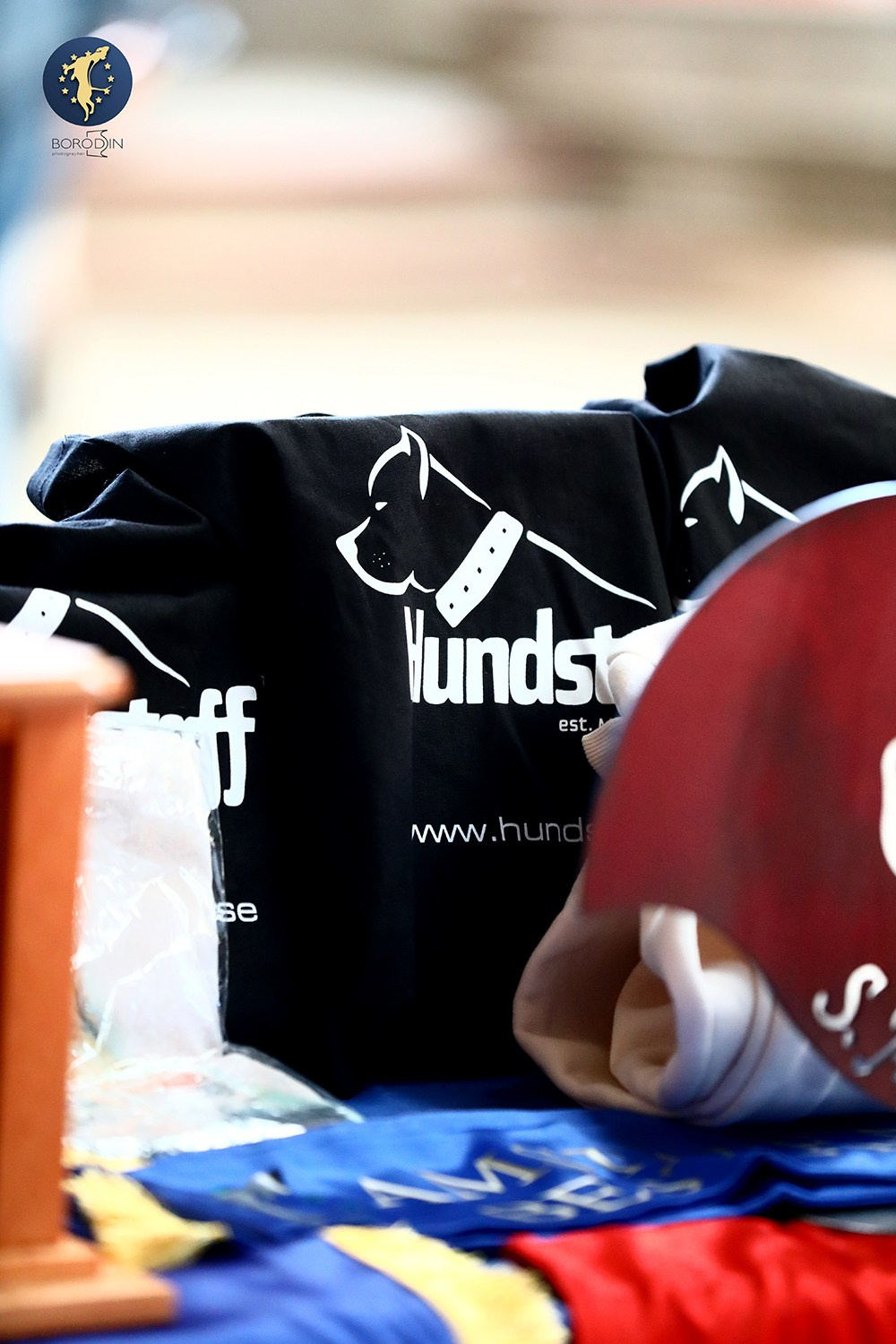 18.05.2024 Amstaff Major 2024, Italy. Фотограф Дмитрий Бородин