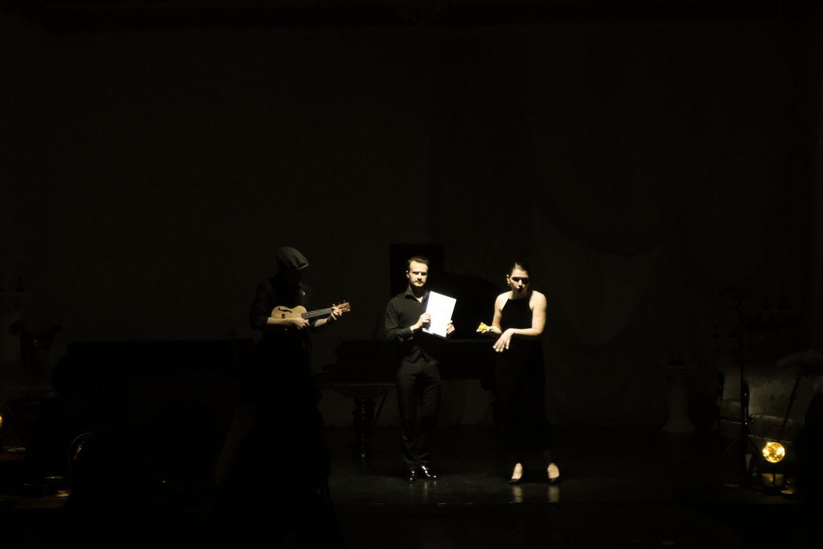 Тематические вечера. Фестивали. Дом Шрёдера