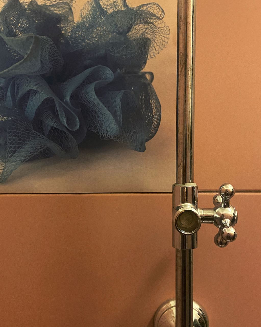 Bathroom. Ilia Kronchev-Ivanov