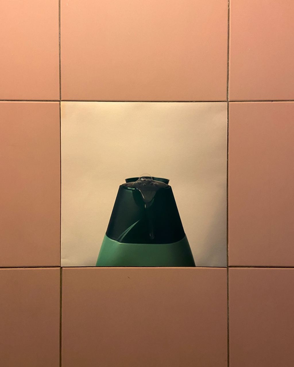 Bathroom. Ilia Kronchev-Ivanov