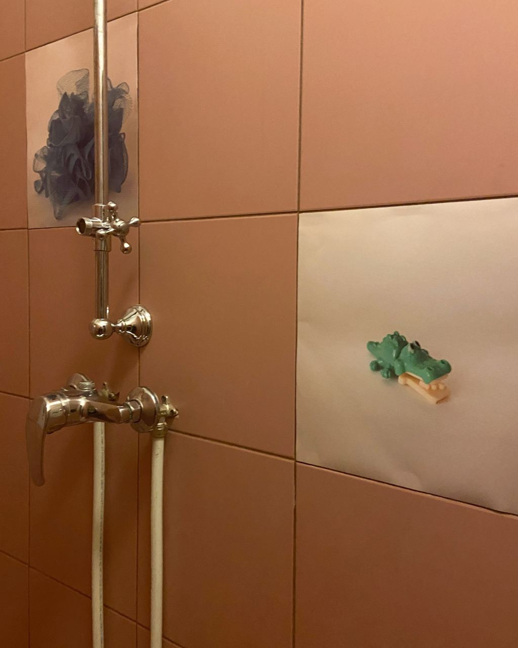 Bathroom. Ilia Kronchev-Ivanov