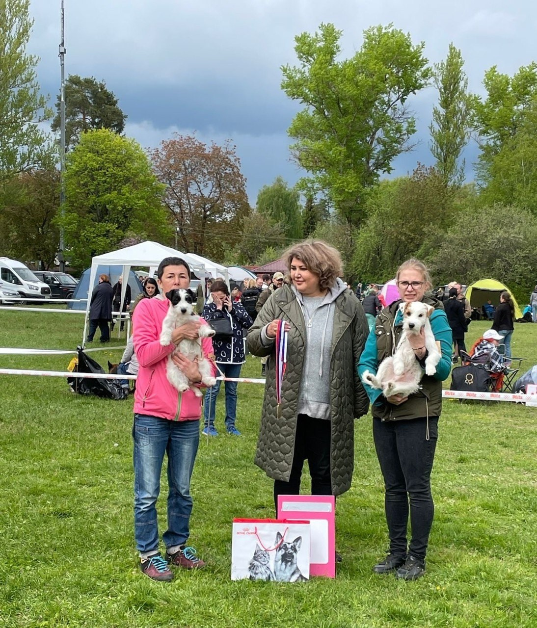 LOVELY-ORANGE POKER. Lovely-Orange питомник джек рассел терьеров