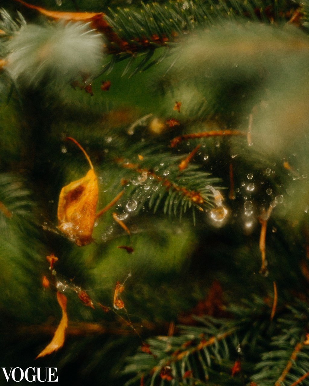 PhotoVogue ITALY. Фотограф вашей улыбки. Москва