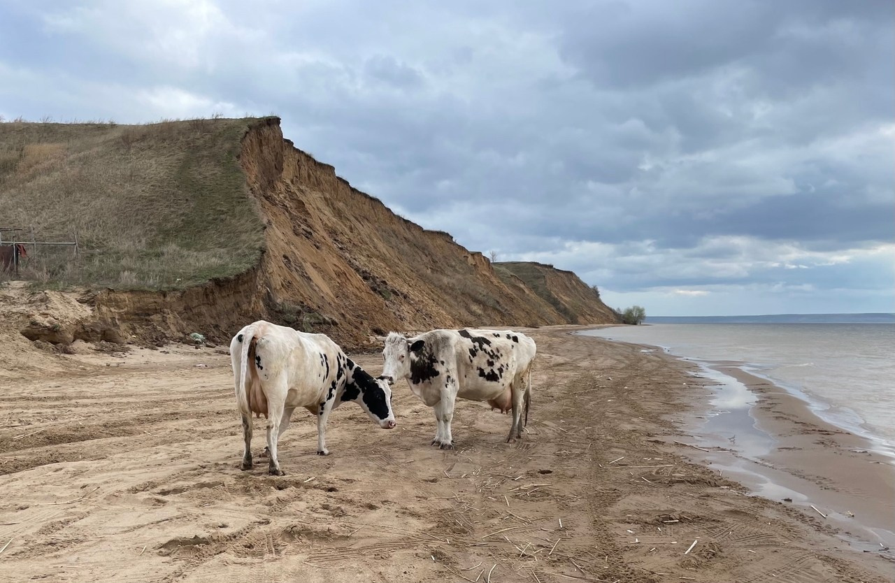 Жулина Наталья. Фотообъединение Самарского областного отделения Союза журналистов России