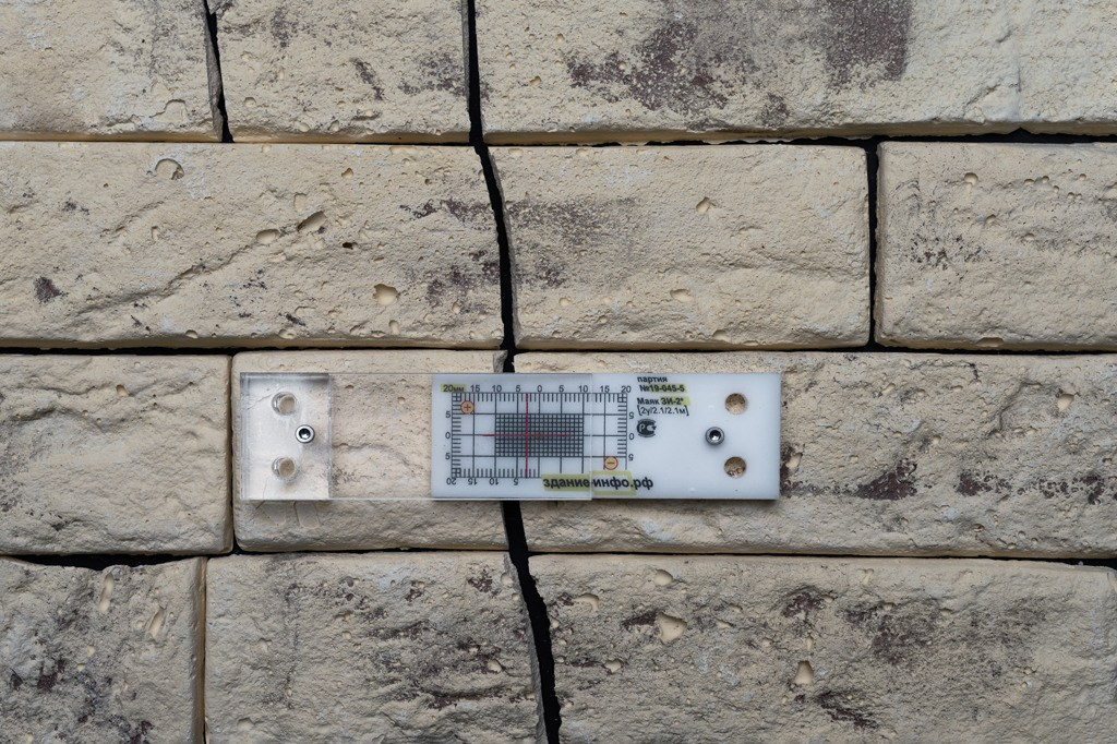 The city of white birches. Vita Stroganova