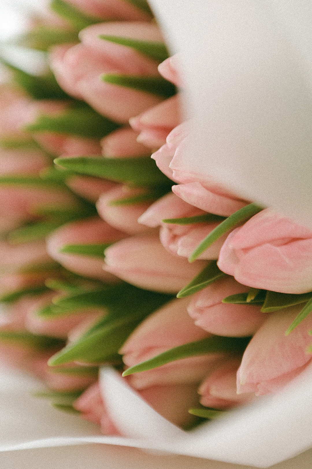 Ира. Фотограф Нижний Новгород