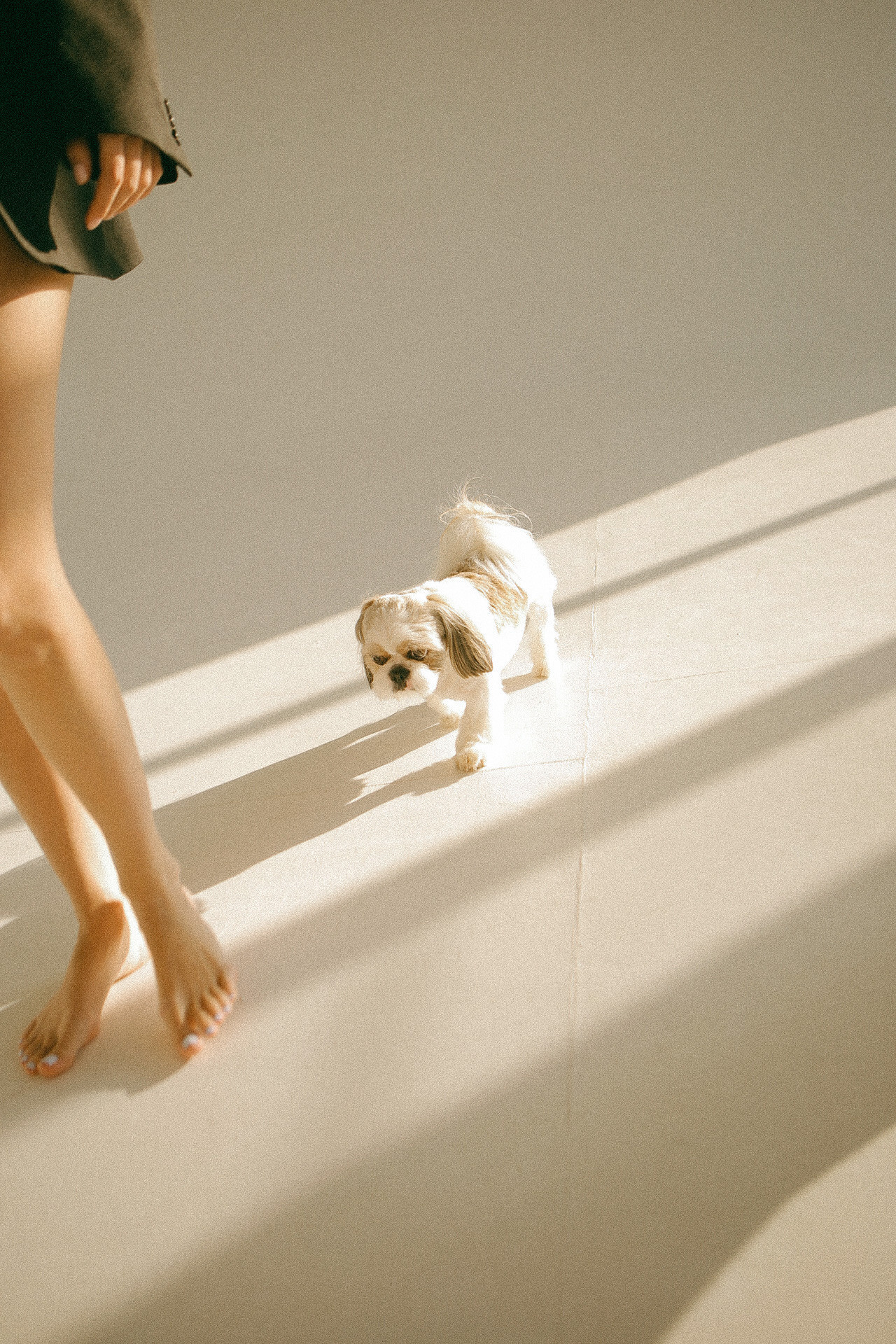 Саша, Настя и Боба. Фотограф Нижний Новгород