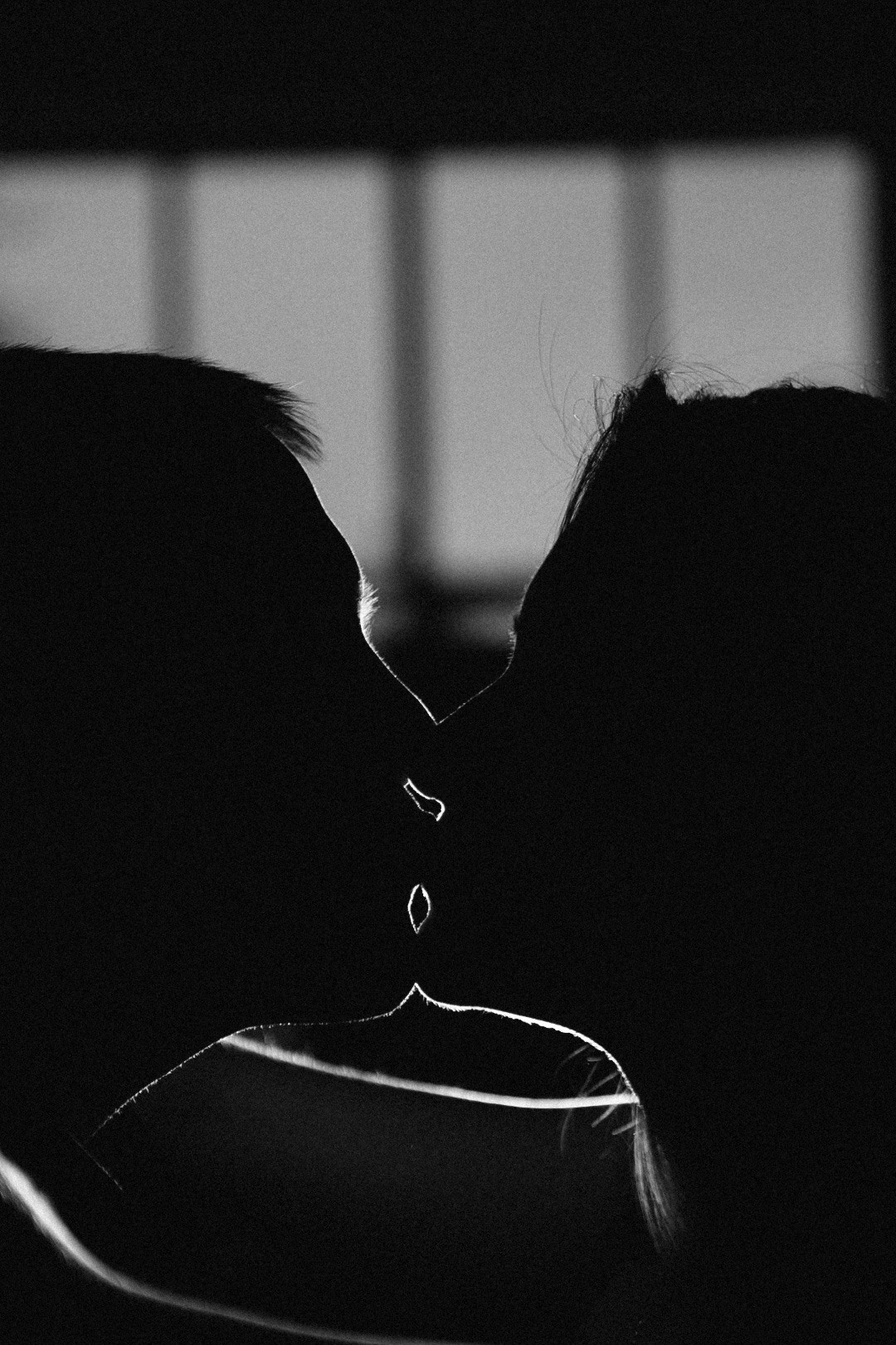 Family. Фотограф Нижний Новгород