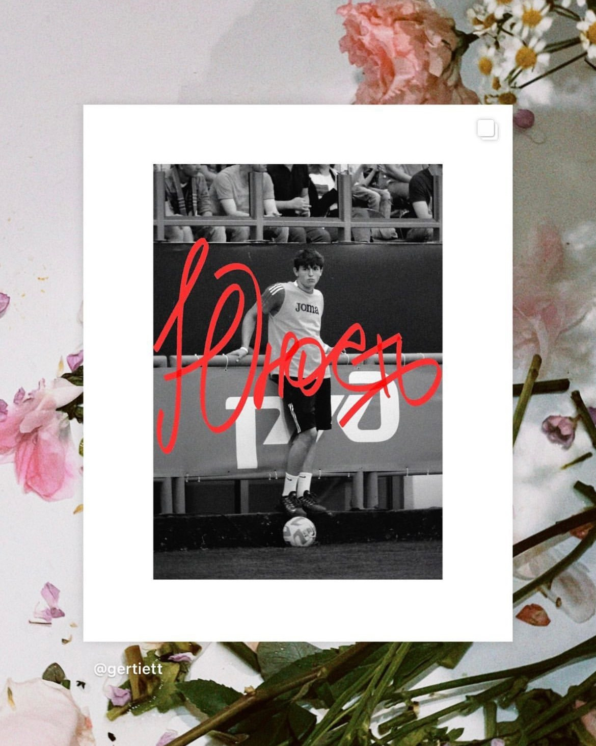 Коллаж. Татьян гертье