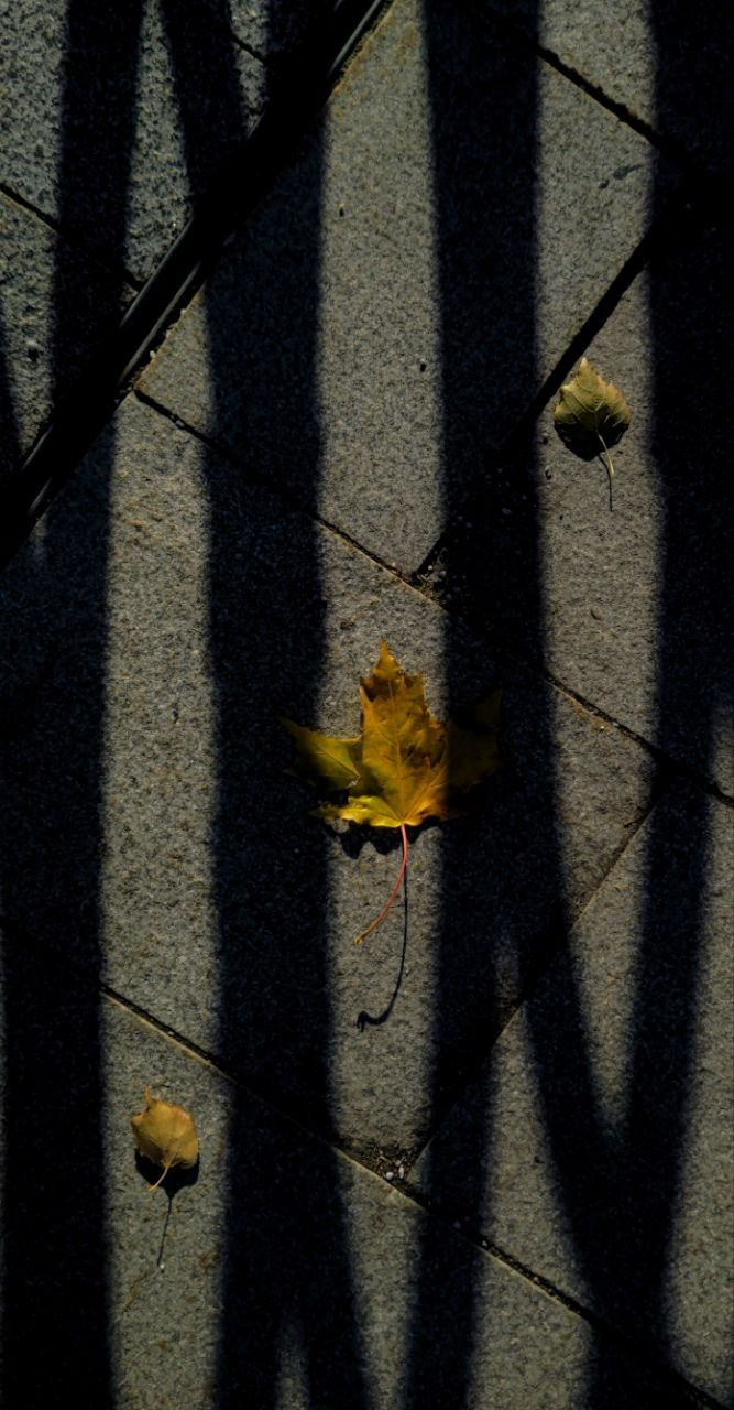 Автор: Гагик Егиазарян