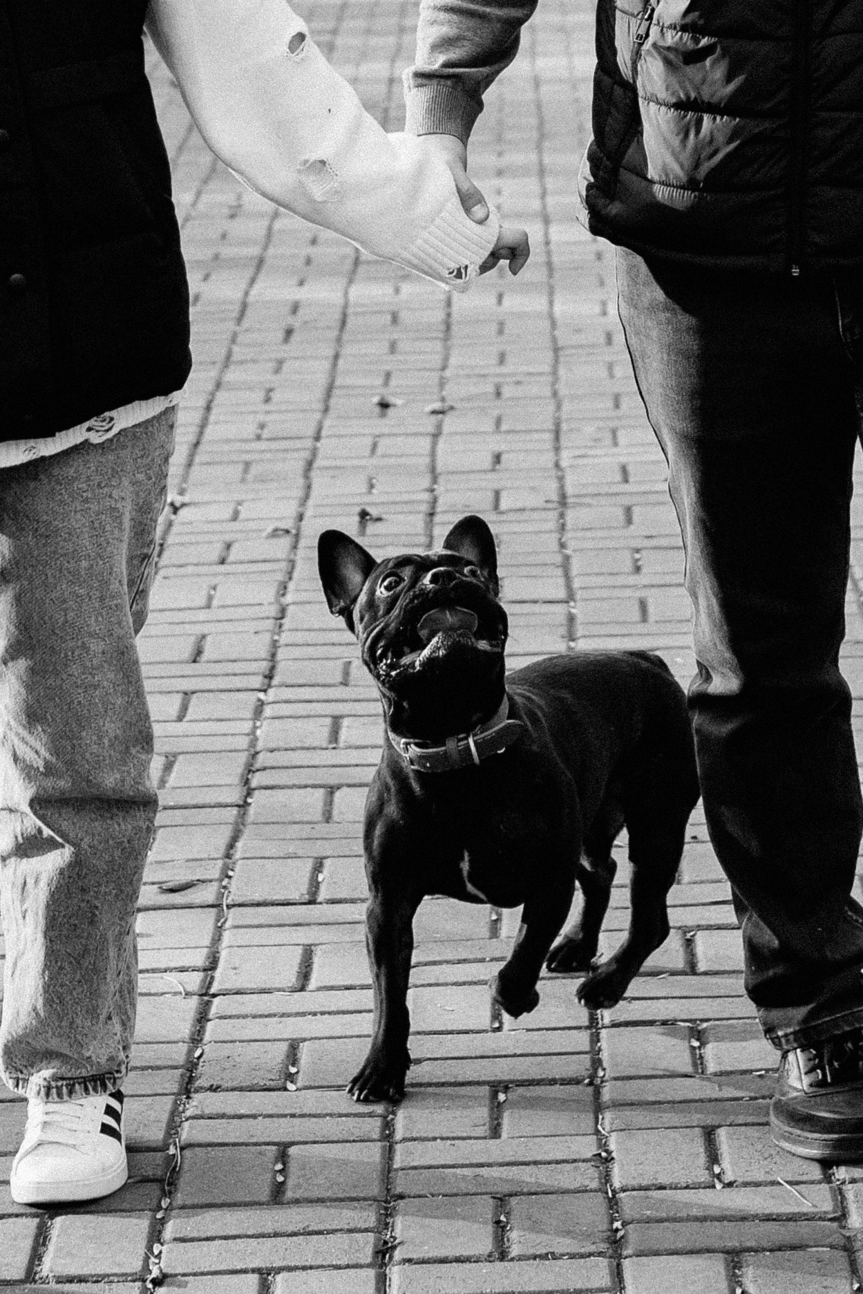 Детский семейный фотограф. Детский и семейный фотограф  Биробиджан Оля Светагор