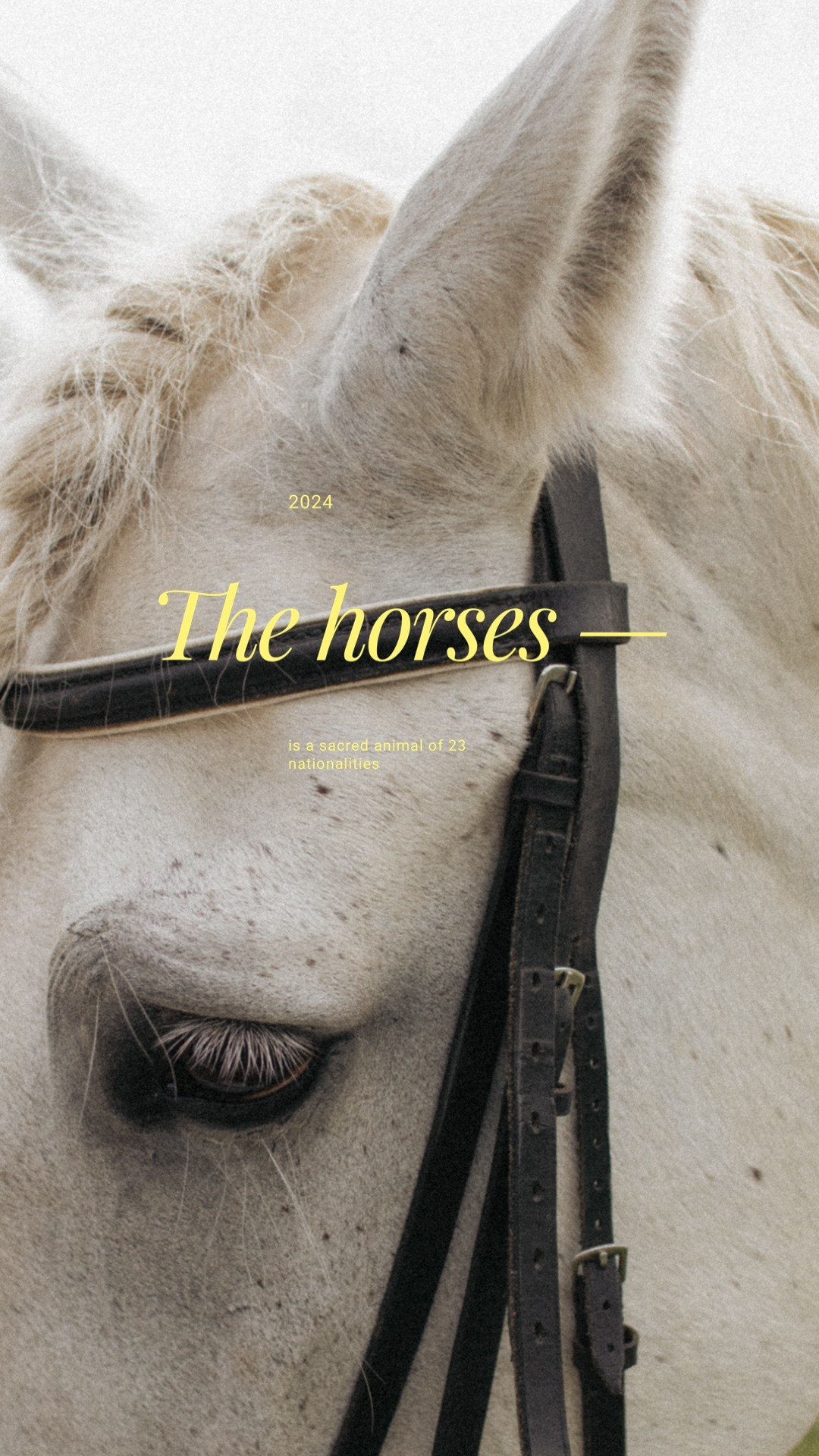 Marianna. Свадебный фотограф Москва и ЮГ