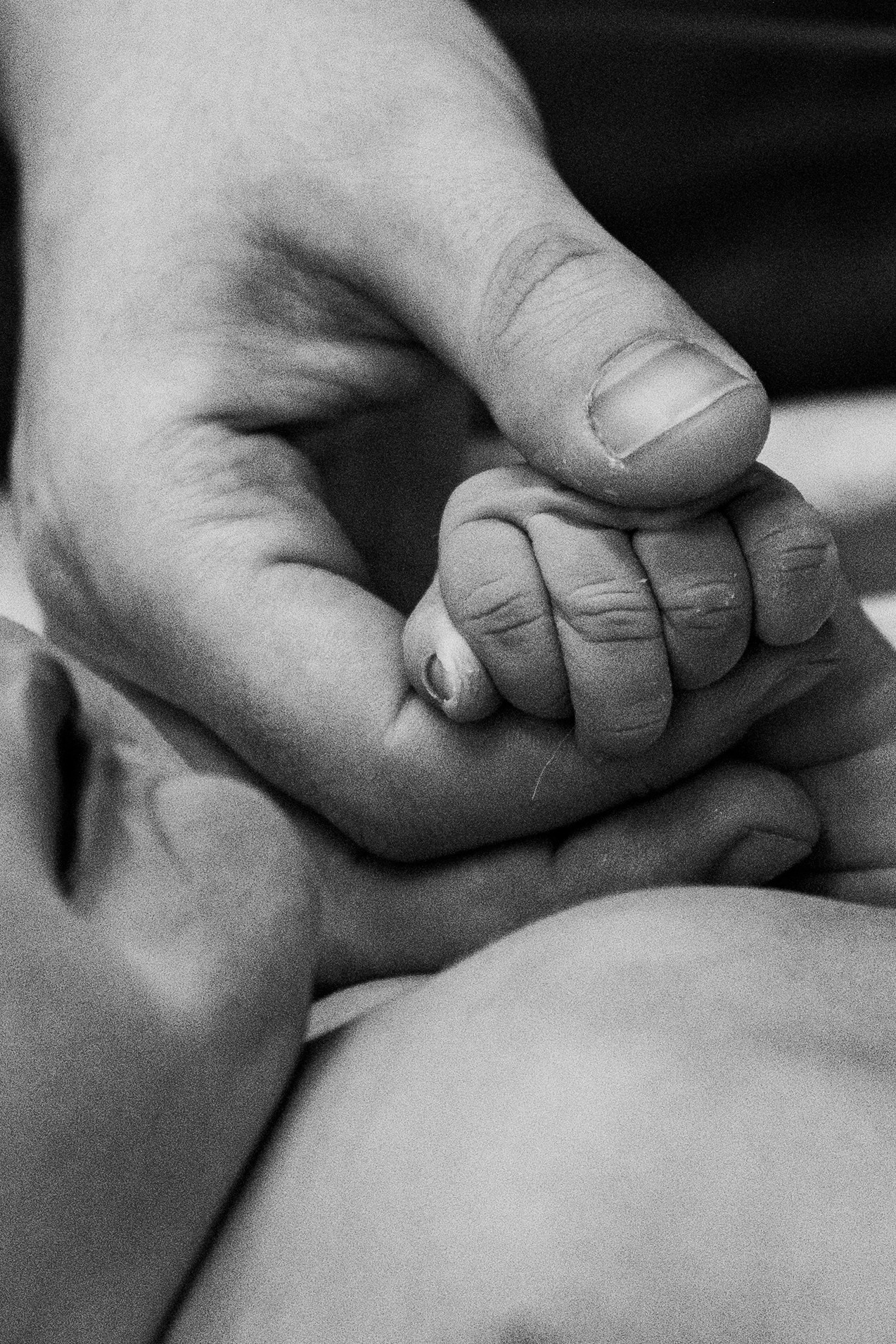 Маэль. Фотограф на роды и семейные истории в Санкт-Петербурге Татьяна Дмитренко