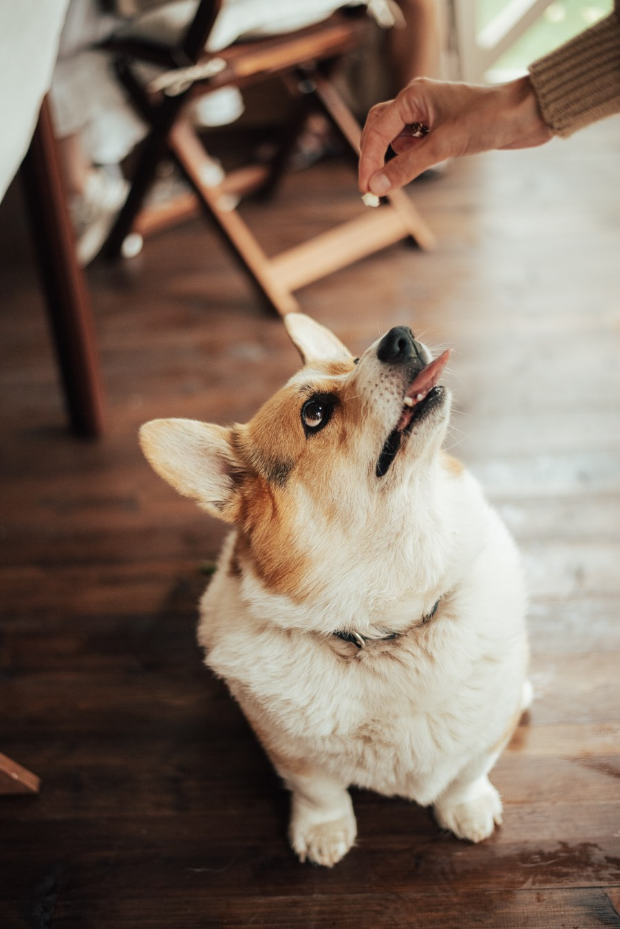 Годик | на даче