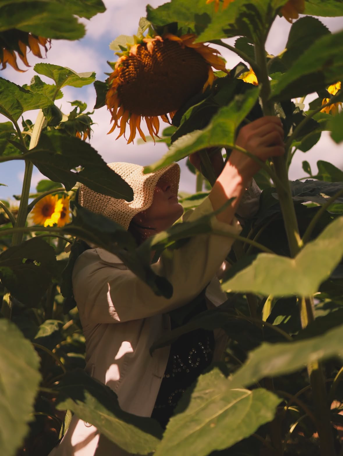 Подсолнухи. Семейный и свадебный фотограф в Минске Юлия Грин