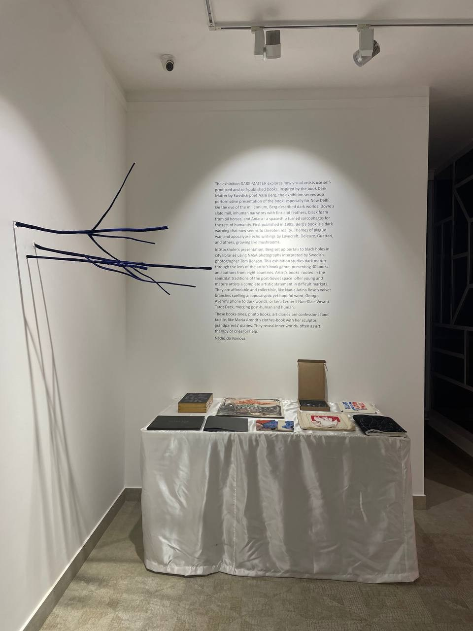 Групповая выставка DARK MATTER, 07-17.12.2024 галерея ONKAF, в Нью-Дели. Лера Круглова