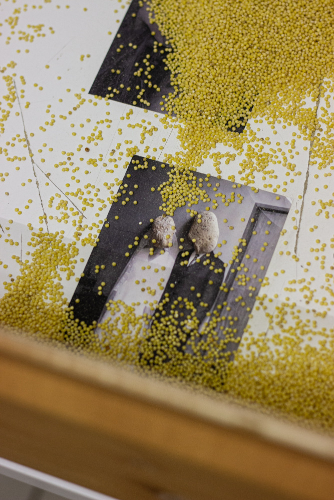 Семейный портрет. Ася Бобрицкая — мультидисциплинарый художник